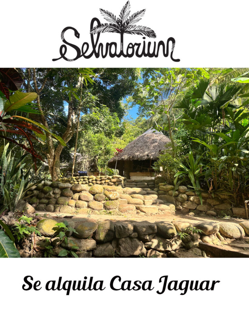 se-alquila-casa-jaguar-en-el-selvatorium!
